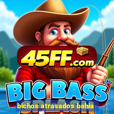 bichos atrasados bahia